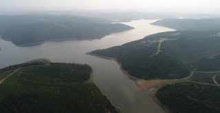 Sultangazi Mimar Sinan Şehir Ormanında  Cemal Kaşıkçının İzi Arandı