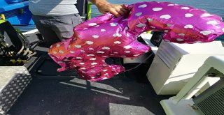 Denizler Ve Sahiller Artık Daha Temiz