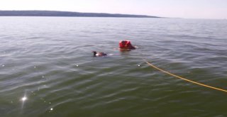 Ava Giden Kartal Boğulmaktan Son Anda Kurtarıldı