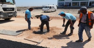 Kayyum Geldi, Diyarbakırda Yapılmadık Yol Kalmadı
