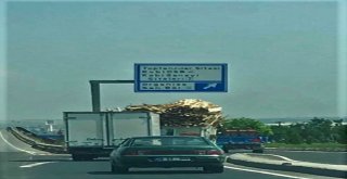 Tahta Yüklü Kamyon İnsanların Canını Hiçe Saydı