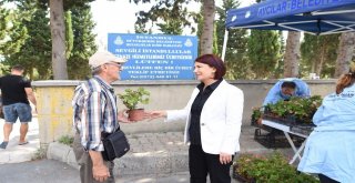 Mezarlıklarda Çiçekli Karşılama