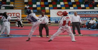 Türkiye Taekwondo Şampiyonası Sona Erdi