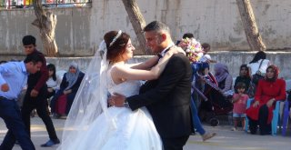 Şaşırtan Benzerlik