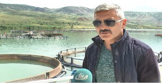 Giresunda Baraj Göllerinde Balık Üretimi Yaygınlaşıyor