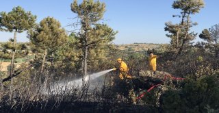 Bursada 70 Dönüm Arpa Ve Buğday Ekili Alan Yandı