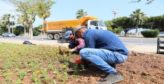 Mersin Caddeleri Mevsim Çiçekleriyle Renkleniyor