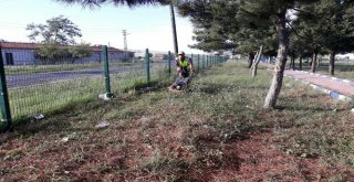 Ergenede Park Ve Bahçelerde Yoğun Mesai