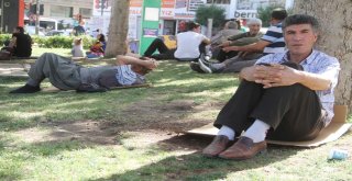 Sıcaklıklar Arttı, Vatandaşlar Parklarda Serinlemeye Çalıştı