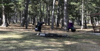 Dünya Çöp Toplama Gününde Yaylayı Temizlediler