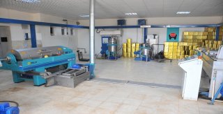 Harran Üniversitesi Bölgenin Zeytinyağı İhtiyacını Karşılıyor
