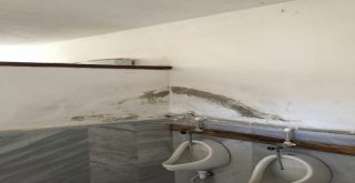 Uludağda Tuvalet Krizi