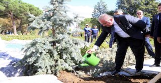 Kent Parkın Can Suyu Tbmm Başkanvekili Şentoptan