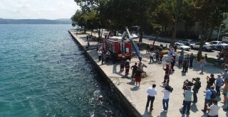 Sariyerde Denize Düşen Atın Kurtarılma Anı Havadan Görüntülendi