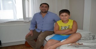 İnegölde Başı Boş Köpekler Dehşet Saçmaya Devam Ediyor