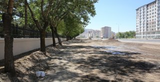 Başkan Çelik Asri Mezarlıkta İncelemelerde Bulundu