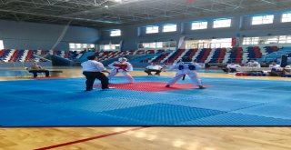 Yıldızlar Türkiye Taekwondo Şampiyonasına Katılmaya Hak Kazandılar