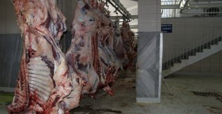 Düzce Belediyesi Kurban Bayramına Hazır