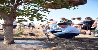 Kepez Belediyesinden Dokuma Botanike Barış Fidanı