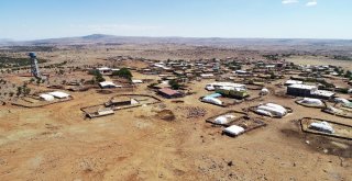 Susuzluktan 40 Bine Yakın Hayvanla Göç Ettiler