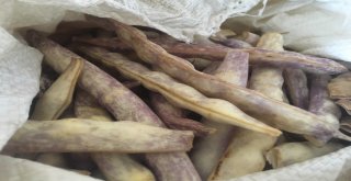 Tatilciler İstanbula Yiyecekleriyle Döndü