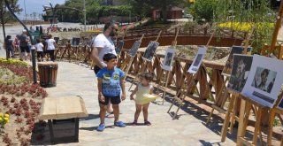 İhadan “15 Temmuz Fotoğraf Sergisi