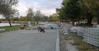 Sapancadaki Festival Alanındaki Çalışmalar Sürüyor