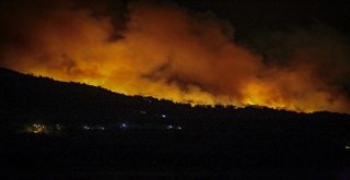 Sisam Adasında Yangın