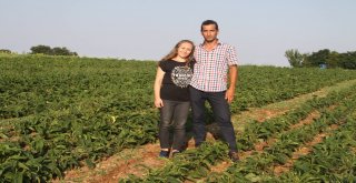 (Tekrar) Karı Koca Birlikte Şifa Ekiyor