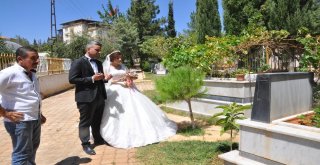 Şaşırtan Benzerlik