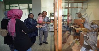 Düzce Üniversitesi Şehirle Bütünleşiyor