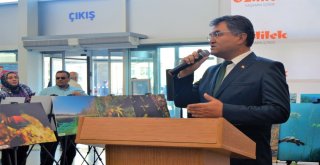 Sakarya Nehrinin Doğuşu Sergileniyor
