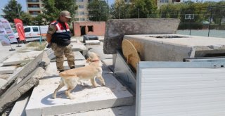 Jandarma Ve Afad Ekibinden Nefes Kesen Tatbikat
