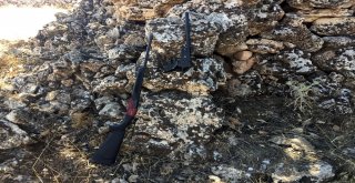 İtfaiye Ekipleri Kayıp Dananın Peşinde