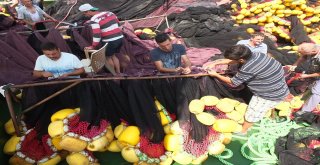 (Özel) Balıkçıların 147 Günlük Yasağında Son Gün