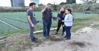 Öğrencilere Ormanda Tatbikî Eğitim