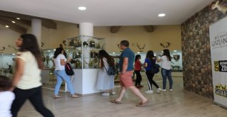 Gaziantep Zooloji Ve Doğa Müzesine Yoğun İlgi