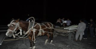 At Arabalı Hırsızları Yakalayan Polis, At Arabasına Binerek Hırsızları Emniyete Götürdü