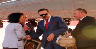 Bursada Uluslararası Zeytin Festivali Coşkusu