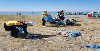 Van Gölü Sahilinde 40 Ton Çöp Toplandı