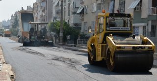 56 Mahalleye 241 Kilometre Asfalt