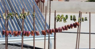 Gastronomi Kenti Hatayda Dolmalık Ve Turşuluk Salatalıklar Kışa Hazırlanıyor
