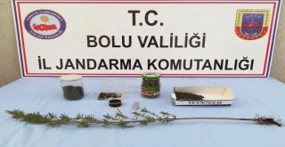 Boluda, Kaçak Sigara Ve Uyuşturucu Operasyonu