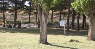 Kayyumun Açtığı Piknik Alanı Dolup Taşıyor