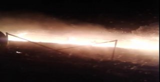 Ayvalıkta Orman Yangını