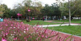Dalyan Parkı Artık Daha Keyifli