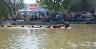 Denizlide Asırlık “Sudan Koyun Atlatma Yarışması” Başladı