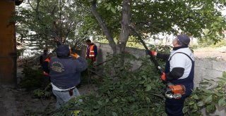 Münevver Teyzenin Yeni Yuvası Hazırlanıyor