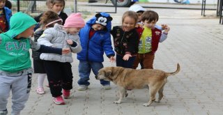 Çocuklardan Minik Dostlarına Sürpriz Ziyaret