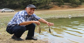 Kütahyada Esrarengiz Balık Ölümleri